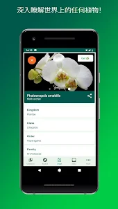 PlantSnap-辨認植物、花卉、樹木和更多