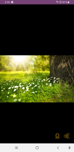 Wallpapers Screen 2