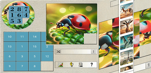 Puzzle Shift Pro