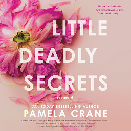 Icon image Little Deadly Secrets: A Novel