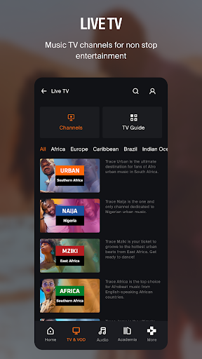 Trace+: We are Afro-Culture Screen 3
