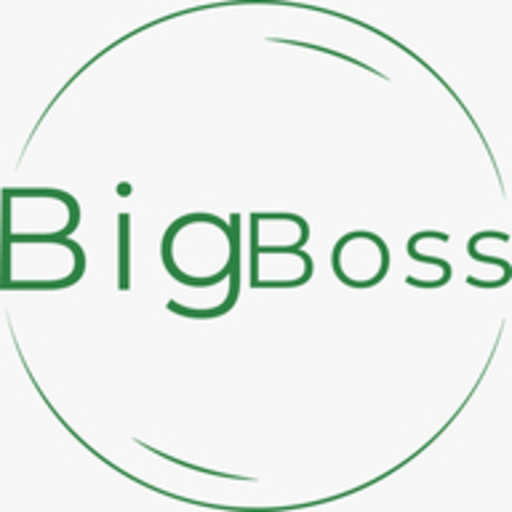 Big Boss B2B logo