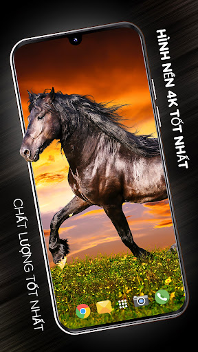 Bản xem trước ứng dụng