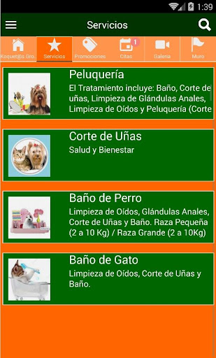 Koquetos Grooming Screen 2