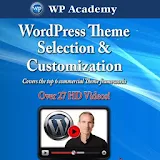WordPress Theme Selection 2014 icon