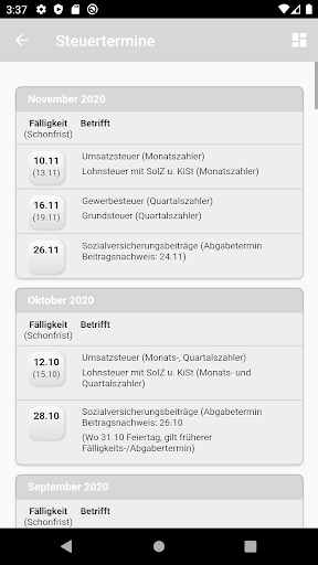 Steuerkanzlei P. Spielmann Screen 3