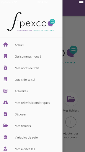 FIPEXCO AMEXCO Screen 3