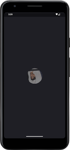 Vista previa de la aplicación