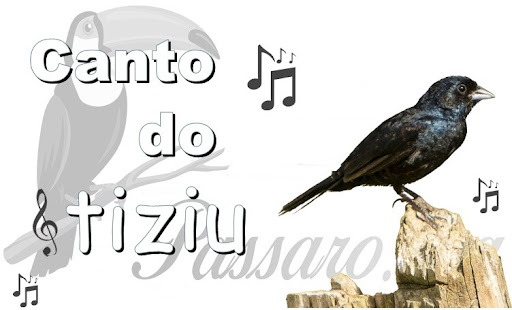 Android application Canto do Tiziu screenshort