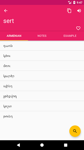 Armenian Turkish Dictionary Screen 2