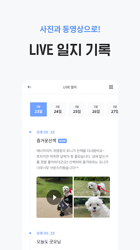 펫플래닛 - 펫시터, 가정집 산책케어, 돌봄 Screenshot 4 - AppWisp.com