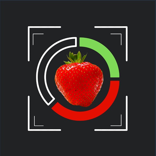 Food Nutri Pie logo