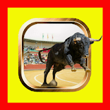 TRIMMERS FUNNY VIDEOS OF BULLS icon