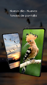 Captura de Pantalla 5 Fondos 4K con pájaros android