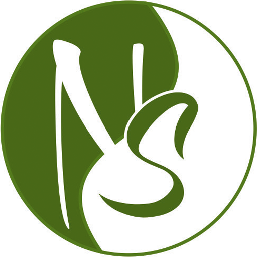Next Step Academy logo