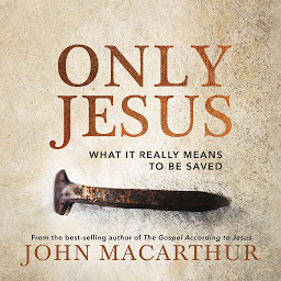 Icon image Only Jesus: What It Really Means to Be Saved