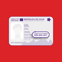Busqueda personas vehiculos rut Chile