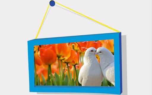 Android application Picture Puzzle: Birds screenshort