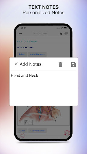 Screenshot of Rapid Review Anatomy Guide