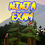 Ninja Exam icon