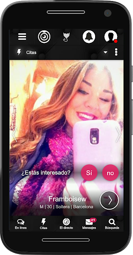 Vista previa de la aplicación