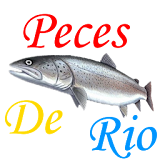 Guia de Peces de Río icon