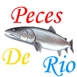 Image de l'icône Guia de Peces de Río