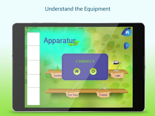 Photosynthesis - Biology