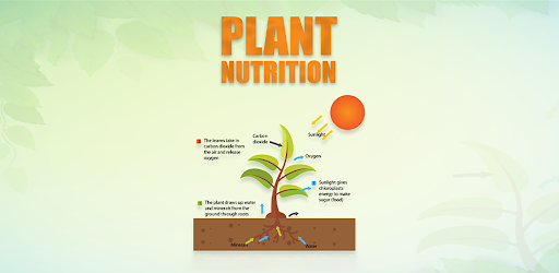Organic Plant Nutrients