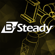 Brica B-STEADY
