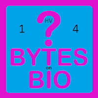 BoB Quiz 1HV4