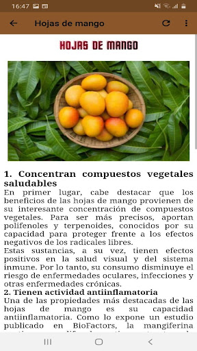 Plantas Medicinales