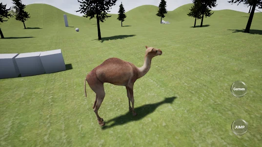 Happy Camel Simulator
