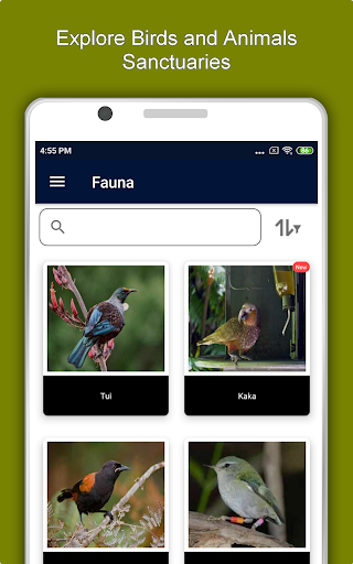 Screenshot of Christchurch Travel & Explore,