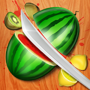Fruit Slice  Icon