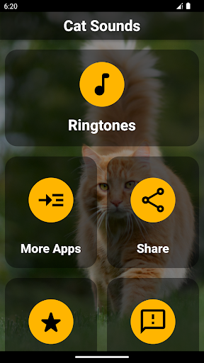 Android application Cat Ringtones – Meow Sounds screenshort