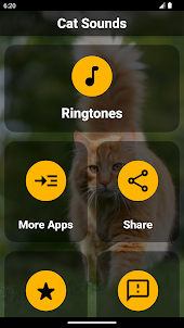 Cat Ringtones – Meow Sounds