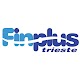FIN Plus Trieste Windowsでダウンロード