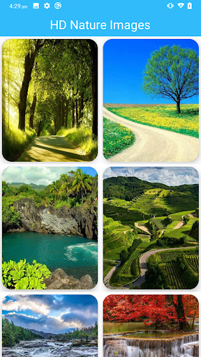HD Nature Images Screen 2