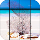 Sea Shell Puzzle Games icon