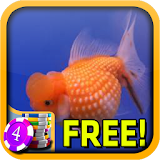 Goldfish Slots - Free icon