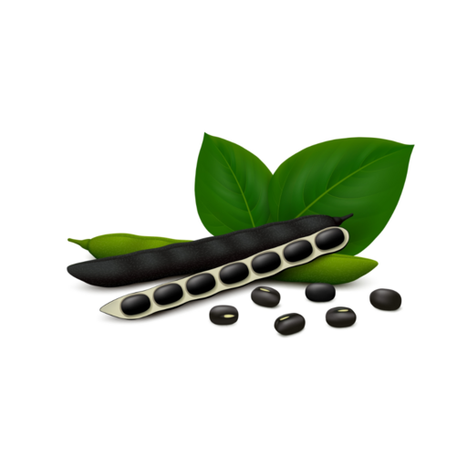 Phule Blackgram logo
