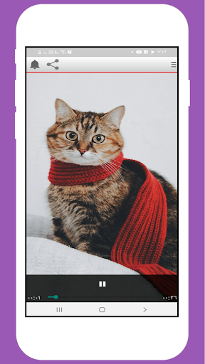 Sounds Cats Screen 2