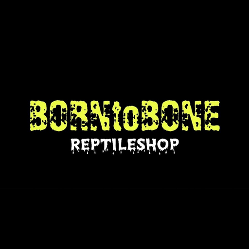 BORN to BONE 公式アプリ logo