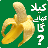 WASticker Funny Urdu Stickers icon