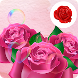 Hungry in Love Rose Wallpaper icon