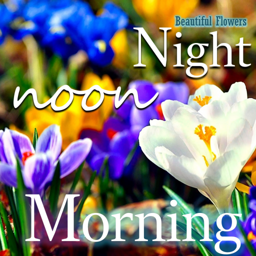 Good Morning Night Flower Wish Apps On Google Play