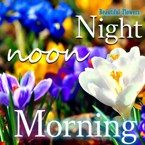 Good Morning Night flower wish 9.00.1.0 Icon