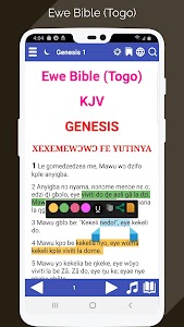 Ewe Bible: Togo Plus Audio Unknown