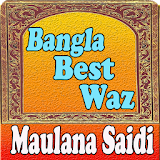 Saidi Best Waz icon